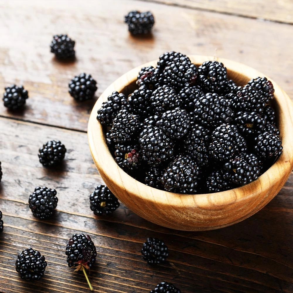 3-in-1 Blackberry Bush - Image 2