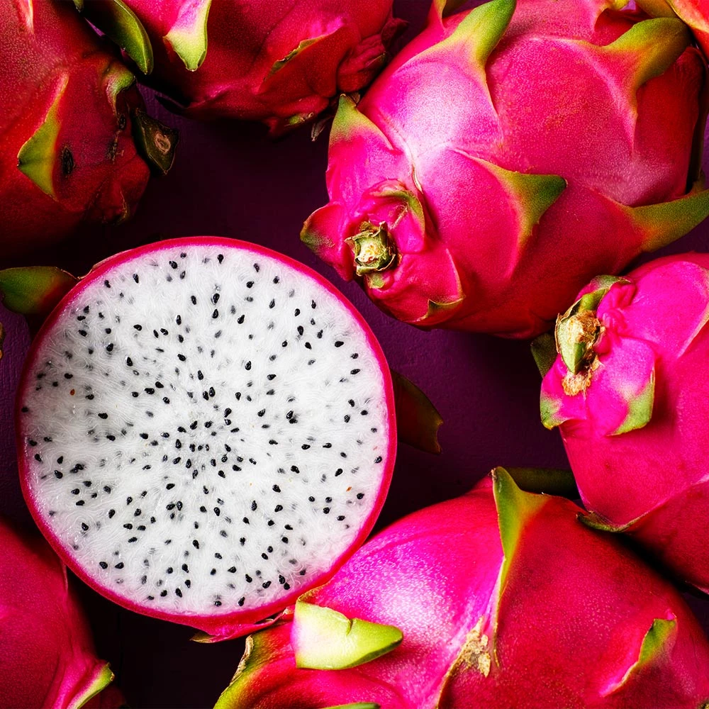 Dragon Fruit Cactus - Image 3