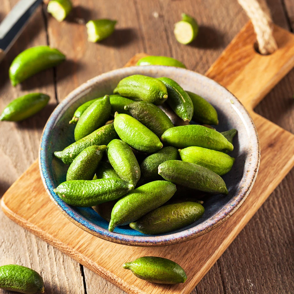 Australian Finger Lime Tree - Image 5
