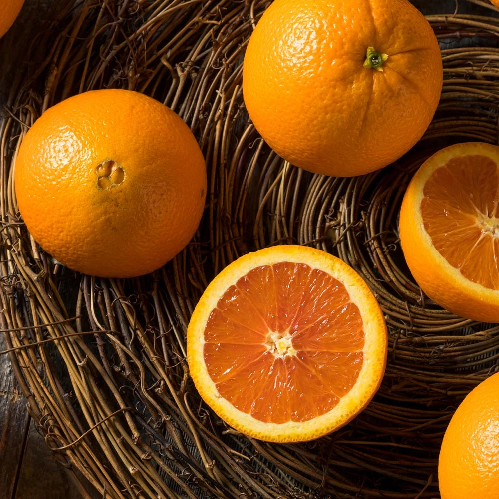 Navel Orange Tree - Image 3