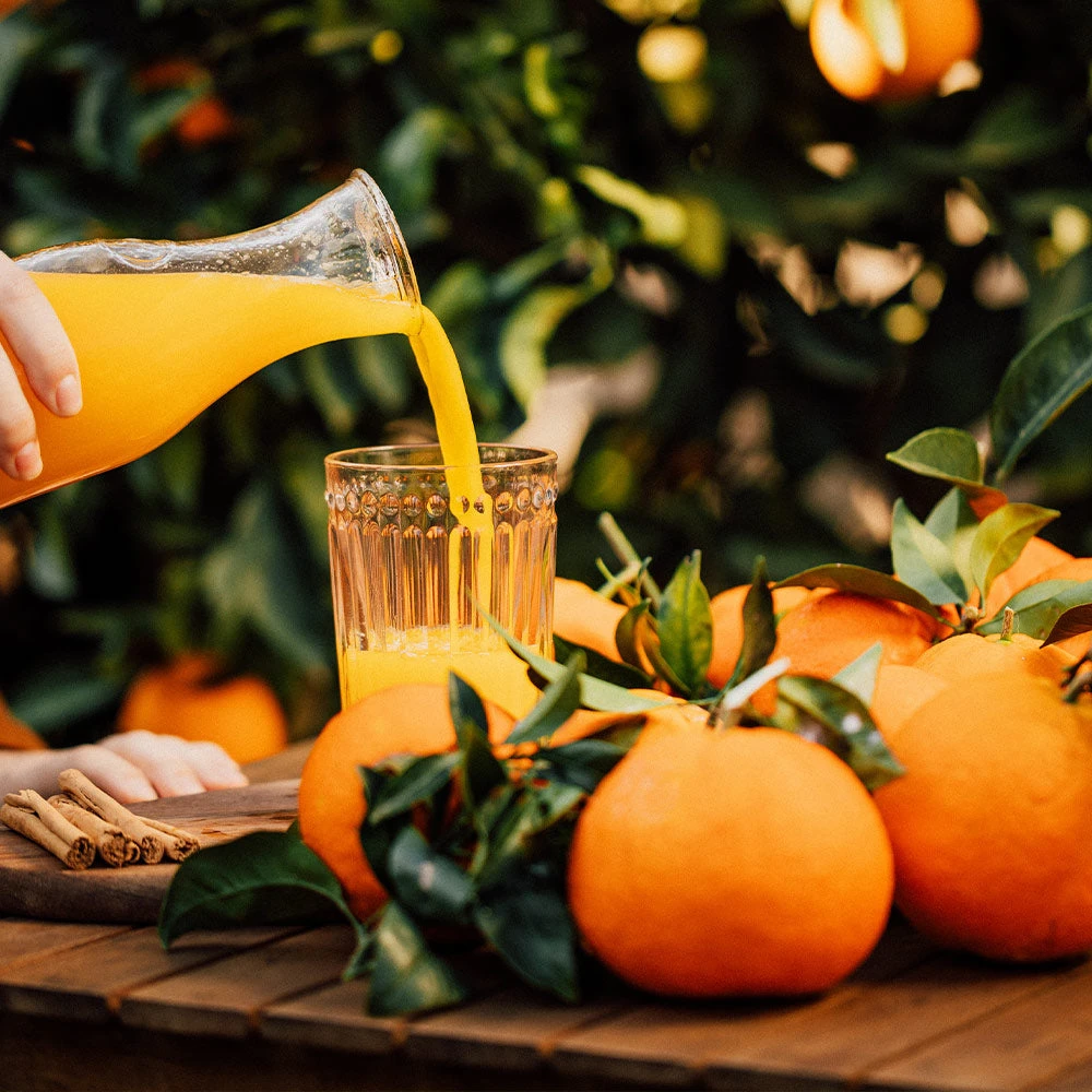 Valencia Orange Tree - Image 5